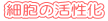 זE̊